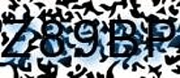 grafischer Sicherheitscode