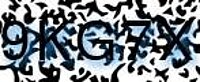 grafischer Sicherheitscode