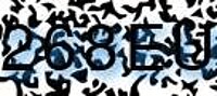 grafischer Sicherheitscode